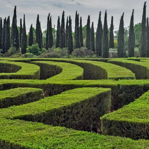 a hedge maze a pink box wrapped in pink ribbons